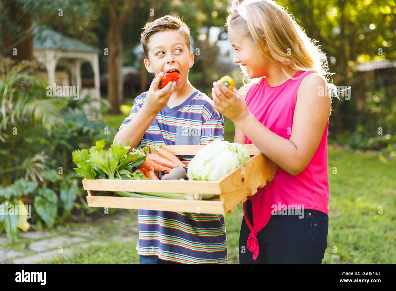 Happy caucasian brother and sister in garden with box of fresh organic vegetables pretending to eat Stock Photo