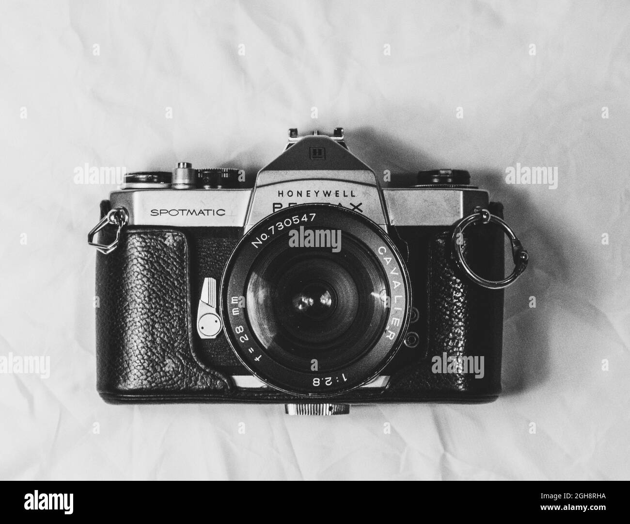 Chihuahua mexico Black and White Stock Photos & Images Alamy