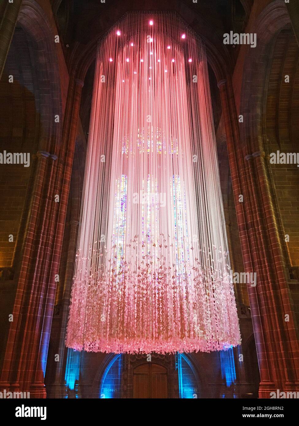Pink Peace Doves art installation by Peter Walker hanging in Liverpool Cathedral in Liverpool, England Stock Photo