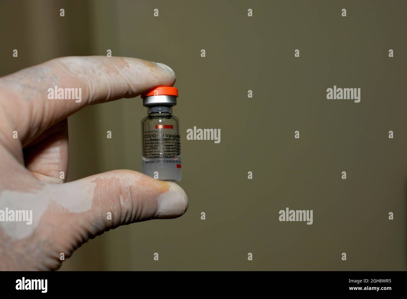 CoronaVac vaccine, Covid-19 vaccination developed by Sinovac which is ...