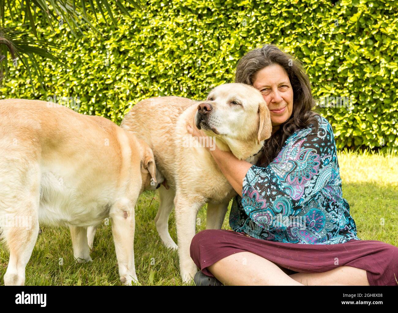 Happy mature woman with Labrador retriever dogs in the garden. Stock Photo