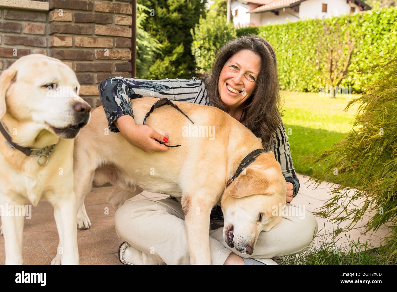 Happy mature woman with two labrador retriver dogs in the garden. Stock Photo