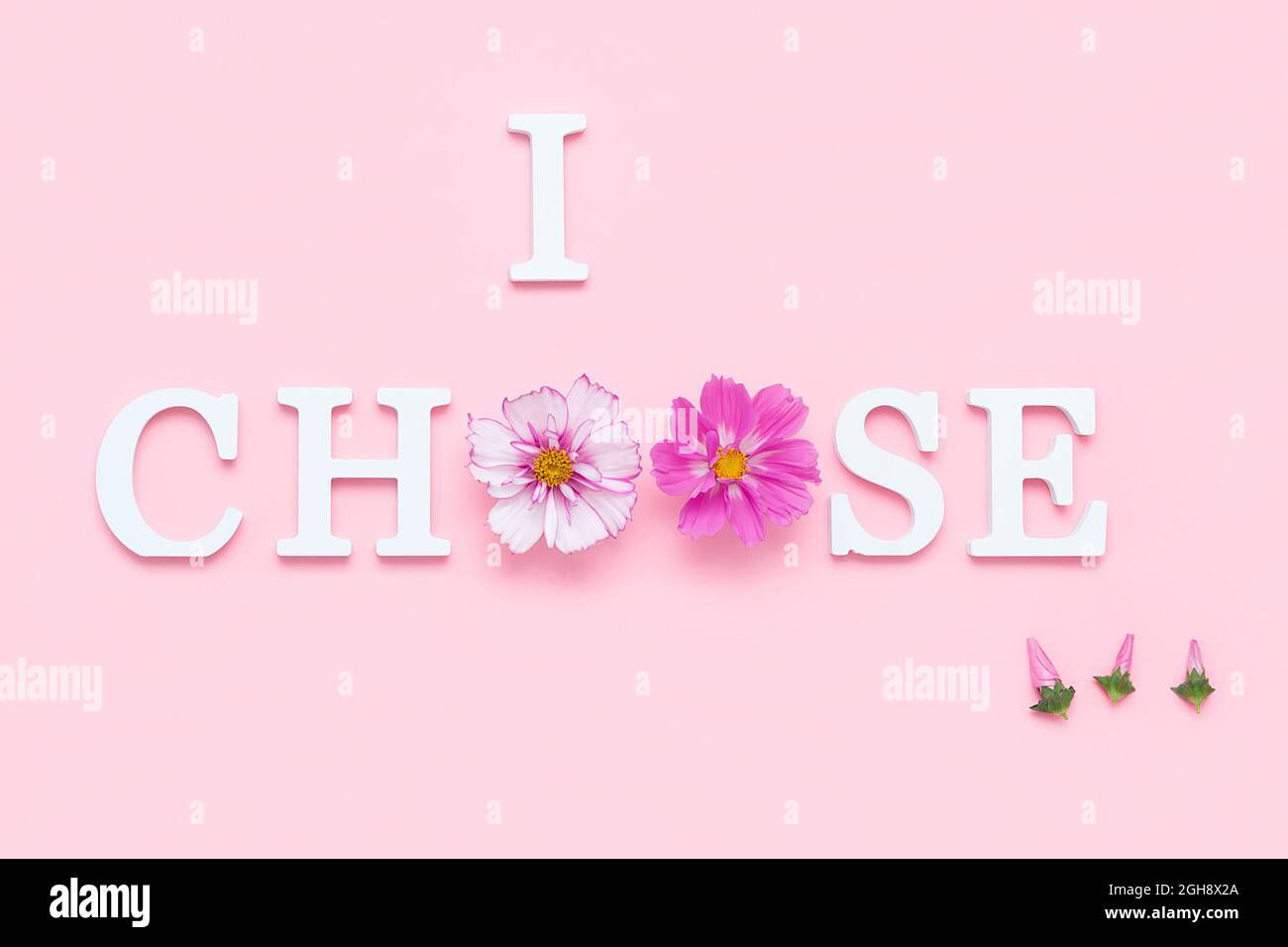 I choose... Motivational quote from white letters and beauty natural flowers on pink background. Creative concept inspirational quote of the day. Stock Photo