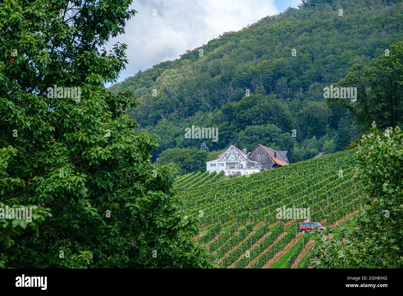 Typical view of landscape valley in Sasbachwalden Stock Photo