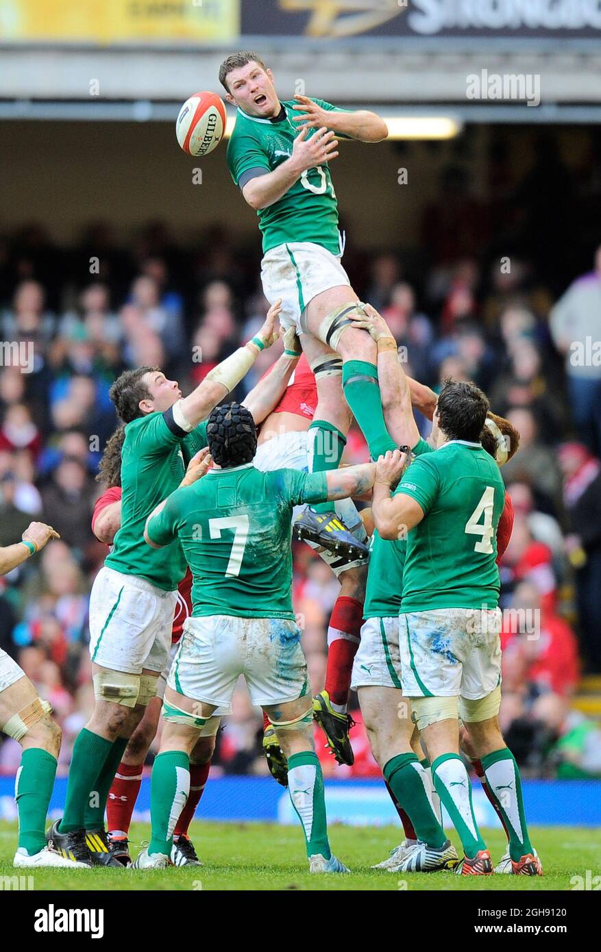 Donnacha Ryan of Ireland wins the line out during the RBS 6 Nations Championship 2013 between Wales and Ireland at the Millennium Stadium in Cardiff on February 02, 2013. Stock Photo