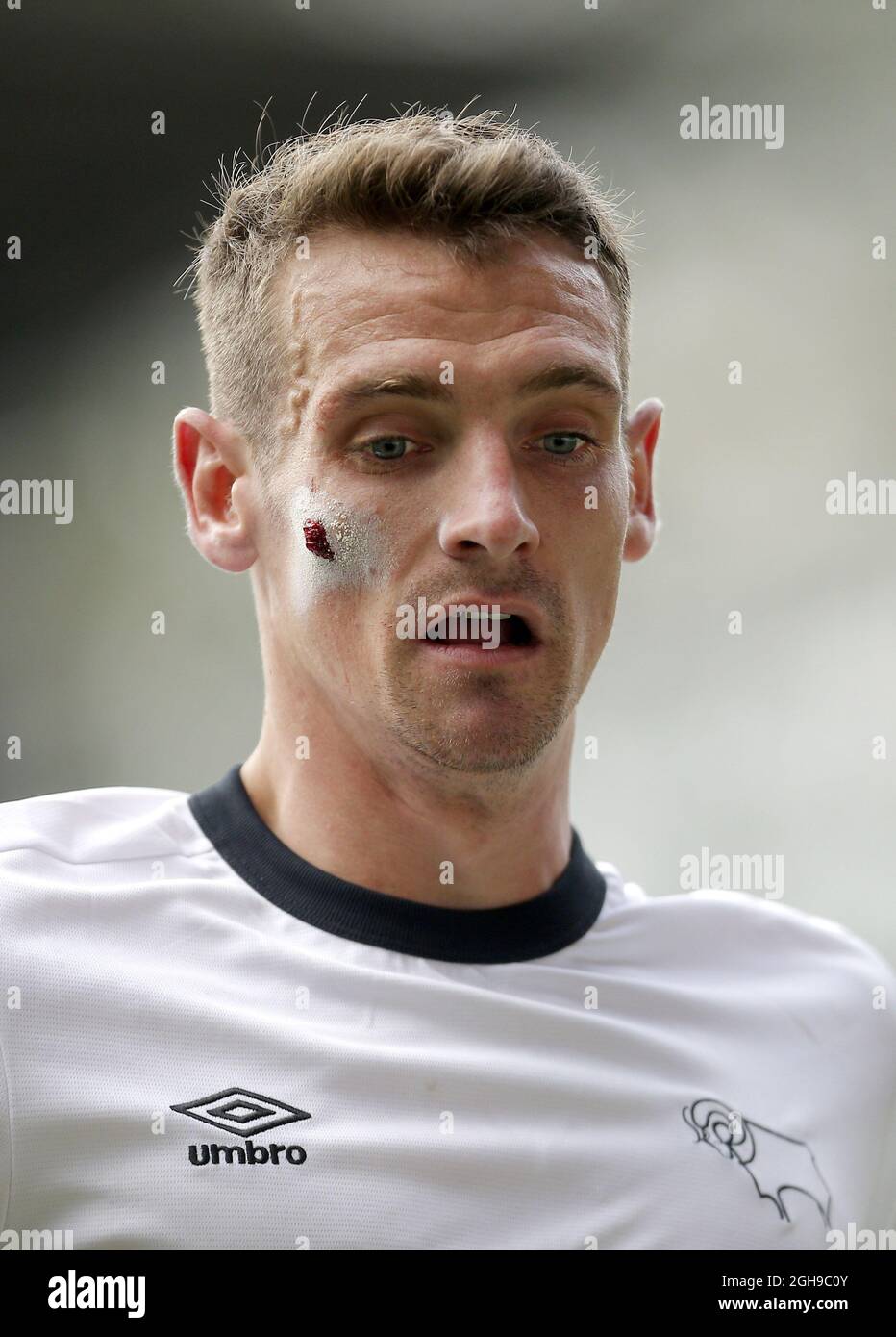Craig bryson forest hi-res stock photography and images - Alamy