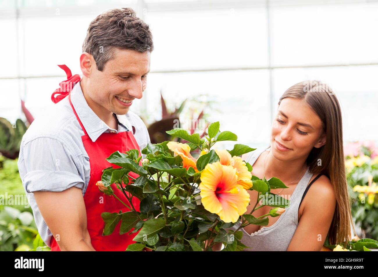 smiling salesman sells a plant to a pretty customer Stock Photo Alamy