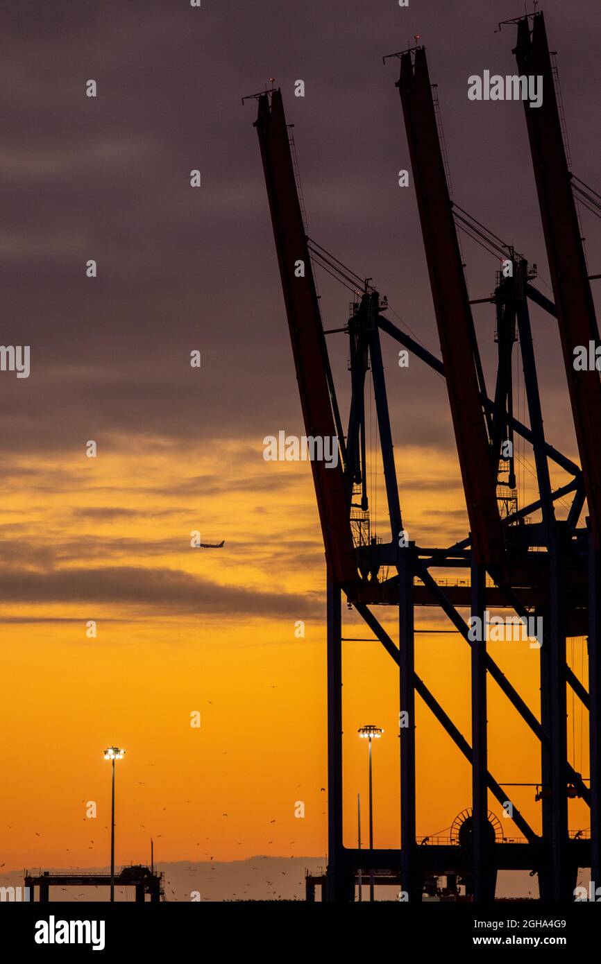 Silhouette of harbor cranes in the evening and a plane flying on a colorful sky Stock Photo