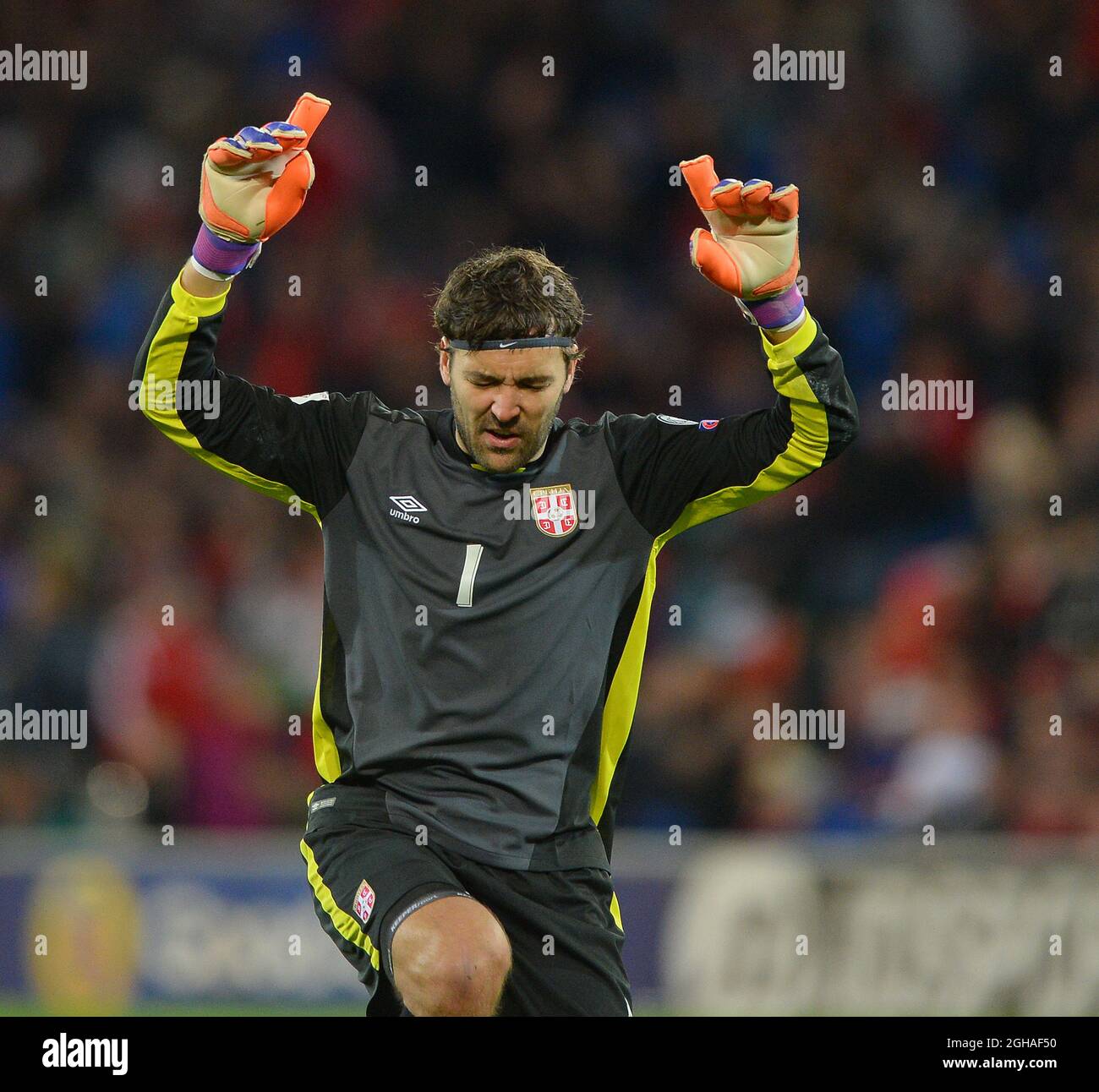 Serbia goalkeeper Vladimir Stojkovic celebrates at the end of the FIFA World Cup Qualifying match at the Cardiff City Stadium, Cardiff. Picture date: November 12th, 2016. Pic Robin Parker/Sportimagevia PA Images Stock Photo