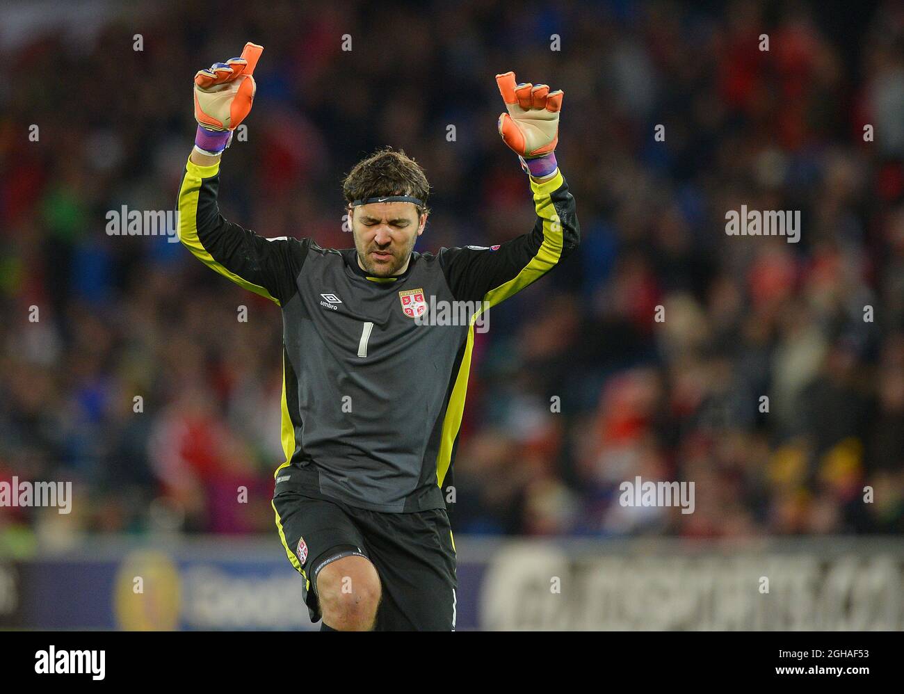 Serbia goalkeeper Vladimir Stojkovic celebrates at the end of the FIFA World Cup Qualifying match at the Cardiff City Stadium, Cardiff. Picture date: November 12th, 2016. Pic Robin Parker/Sportimage via PA Images Stock Photo