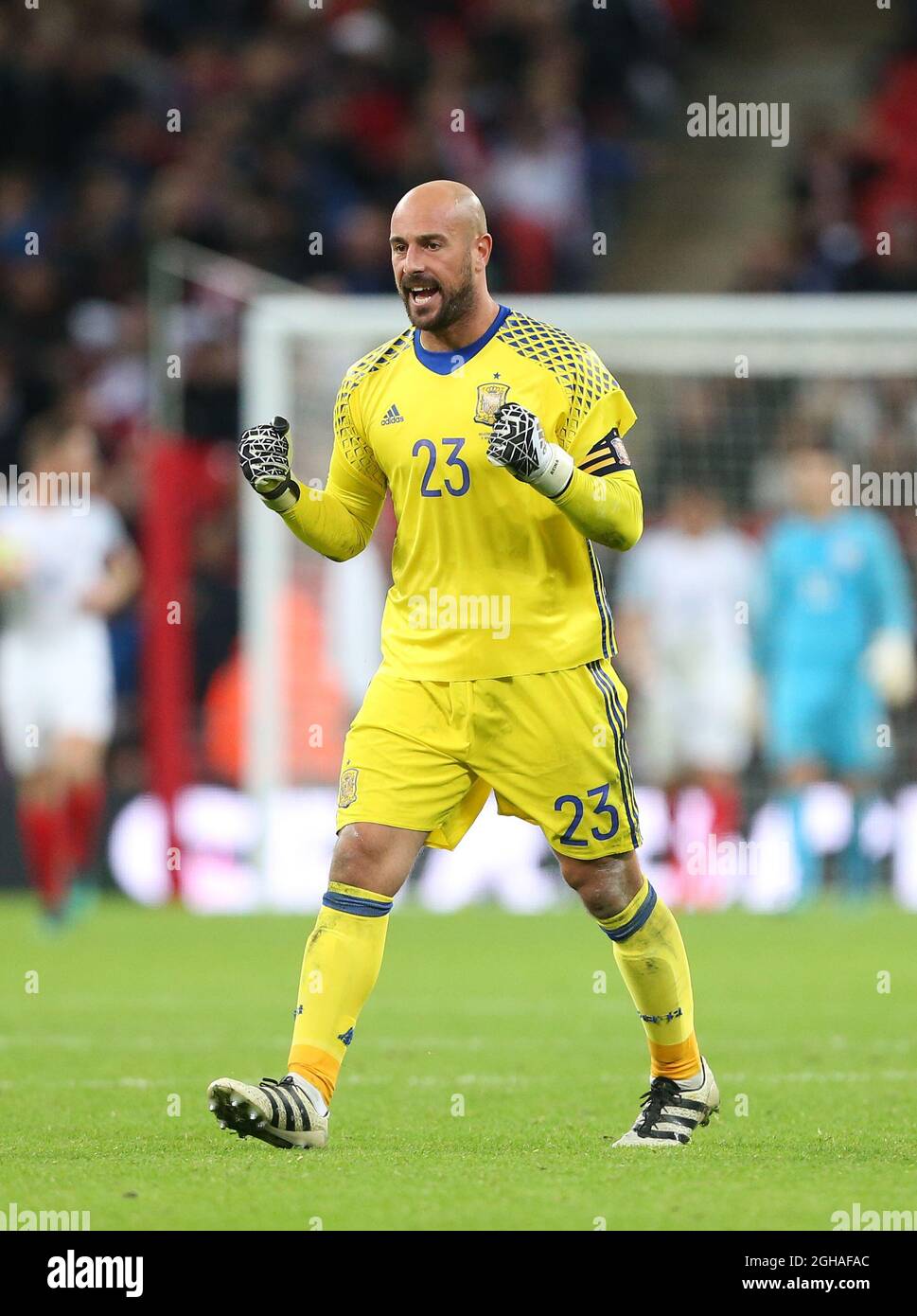 Spain's Pepe Reina celebrates his sides second goal during the