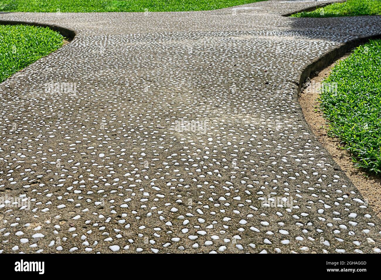 Garden pathway covered with small white stones. Pebble walkway in the garden Stock Photo
