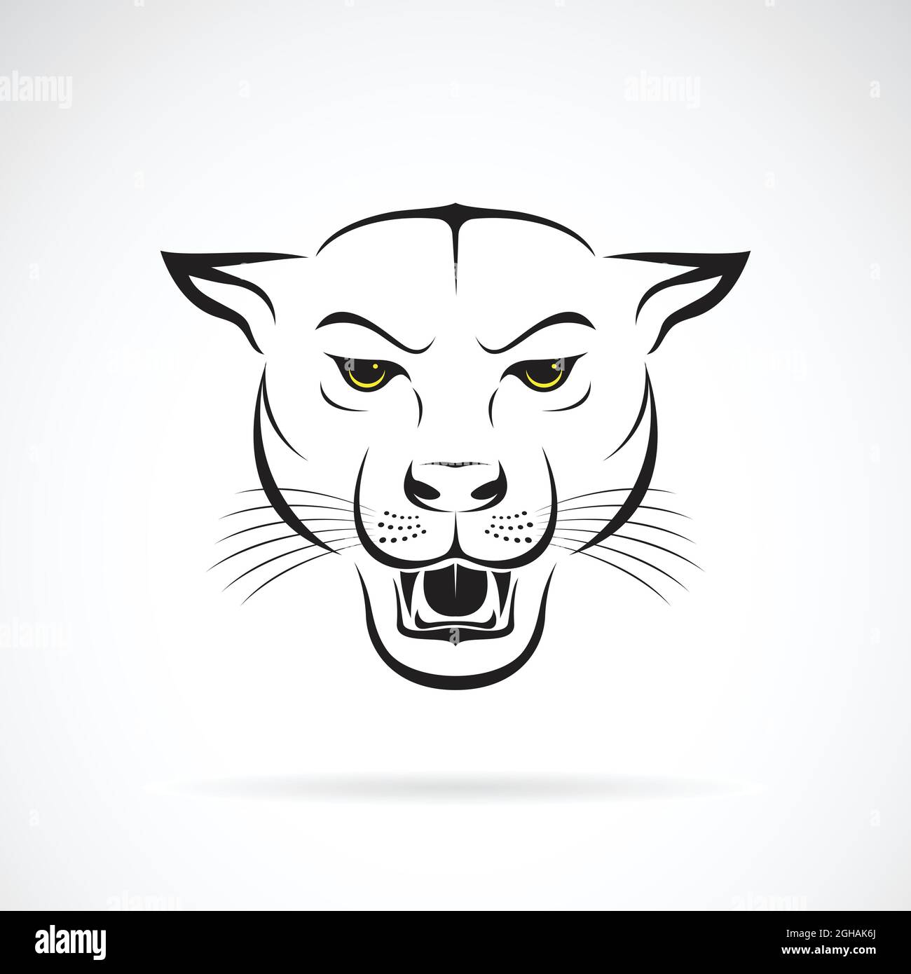 Vector of an angry panther head on white background. Wild Animals. Vector  illustration. Easy editable layered vector illustration Stock Vector Image  & Art - Alamy