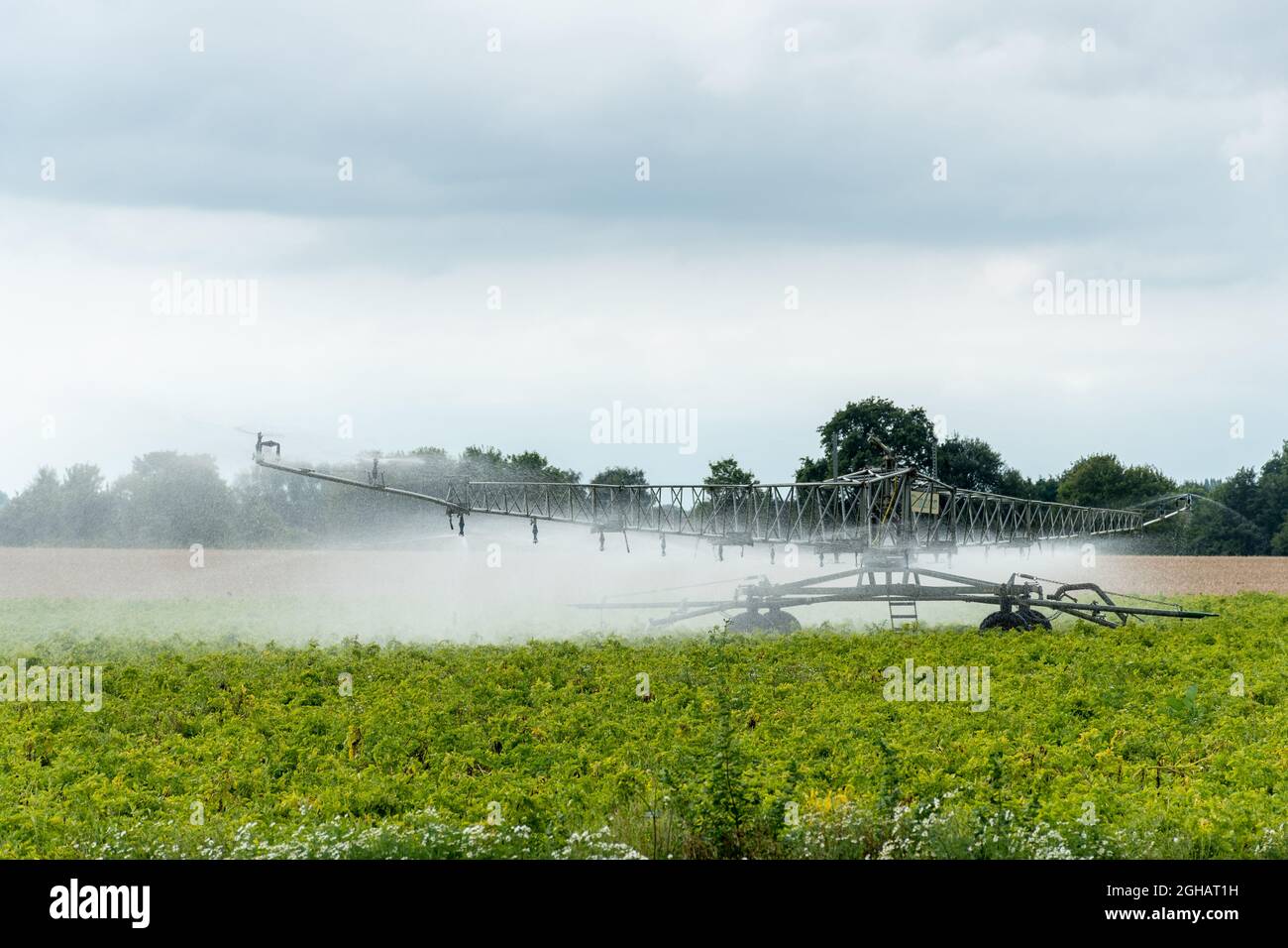 Crop-sprayer in action in a field on agricultural farmland, UK. Farm machinery. Stock Photo