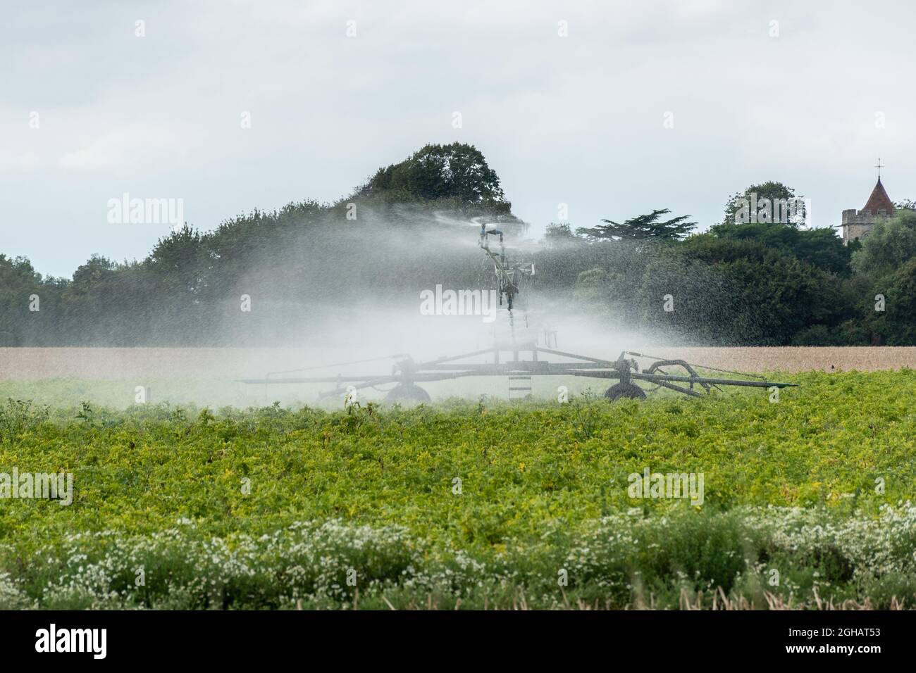 Crop-sprayer in action in a field on agricultural farmland, UK. Farm machinery. Stock Photo