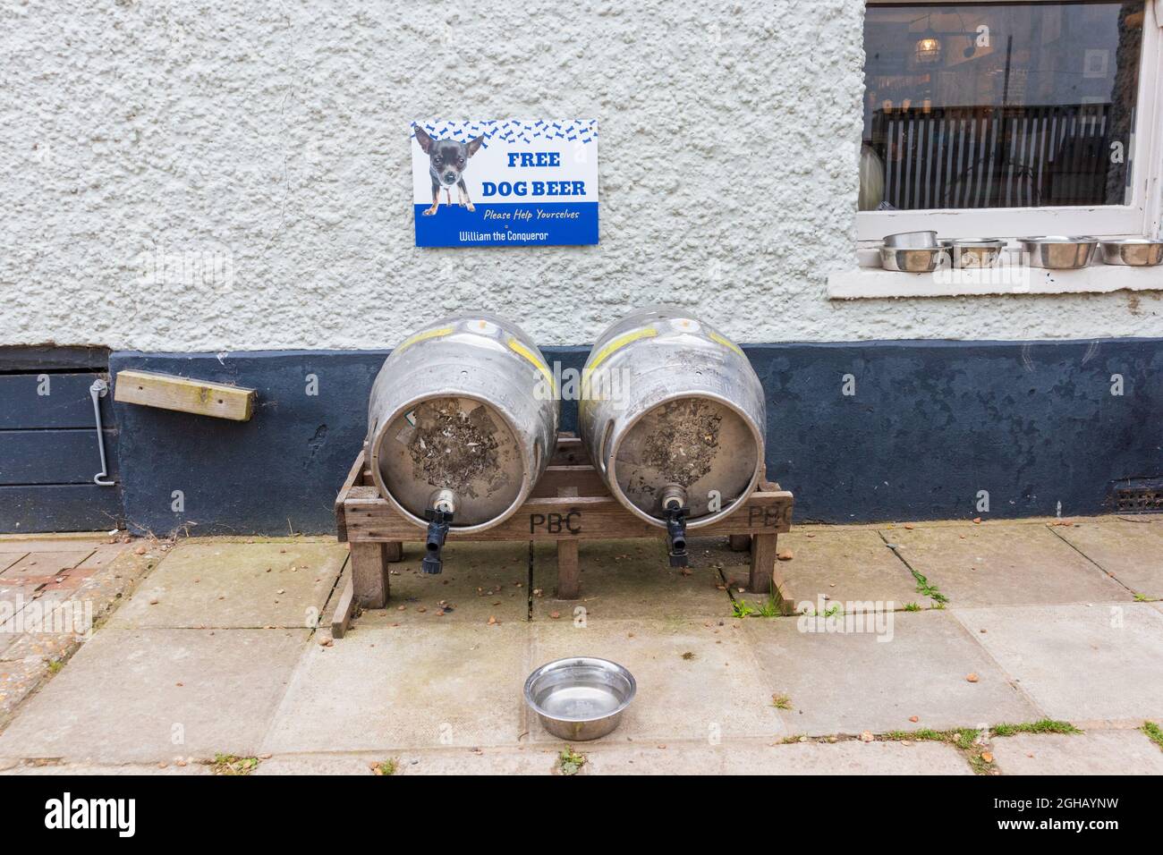 Free dog beer, barrels of beer containing water for dogs, william the