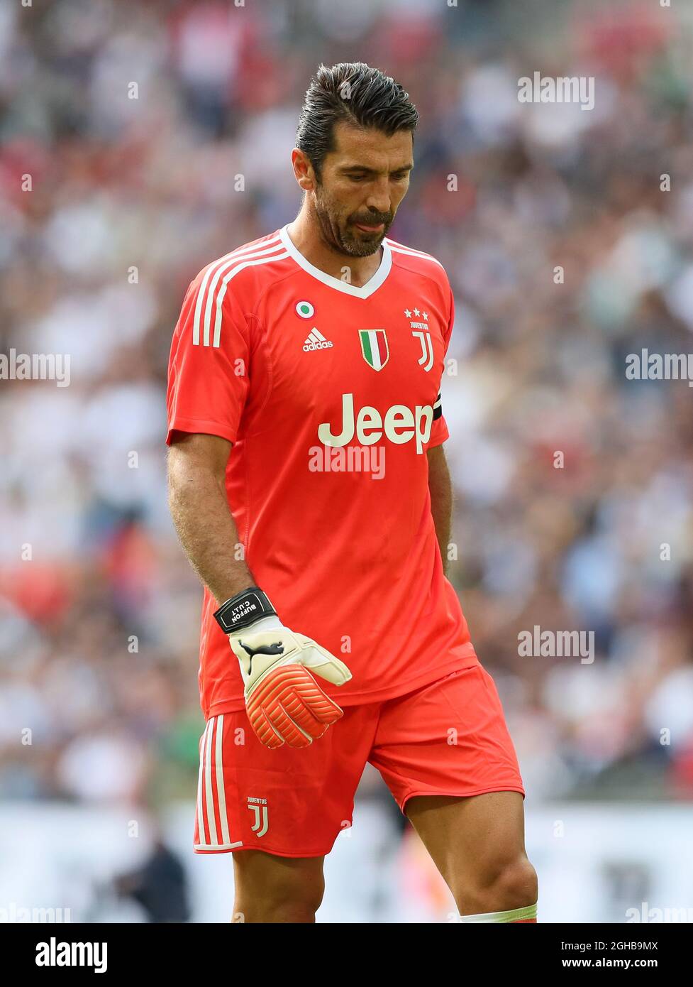 Buffon 2017 hi-res stock photography and images - Alamy