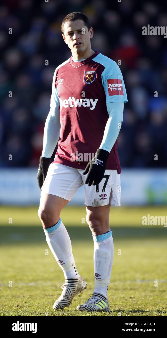 Javier hernandez west ham hi-res stock photography and images - Alamy