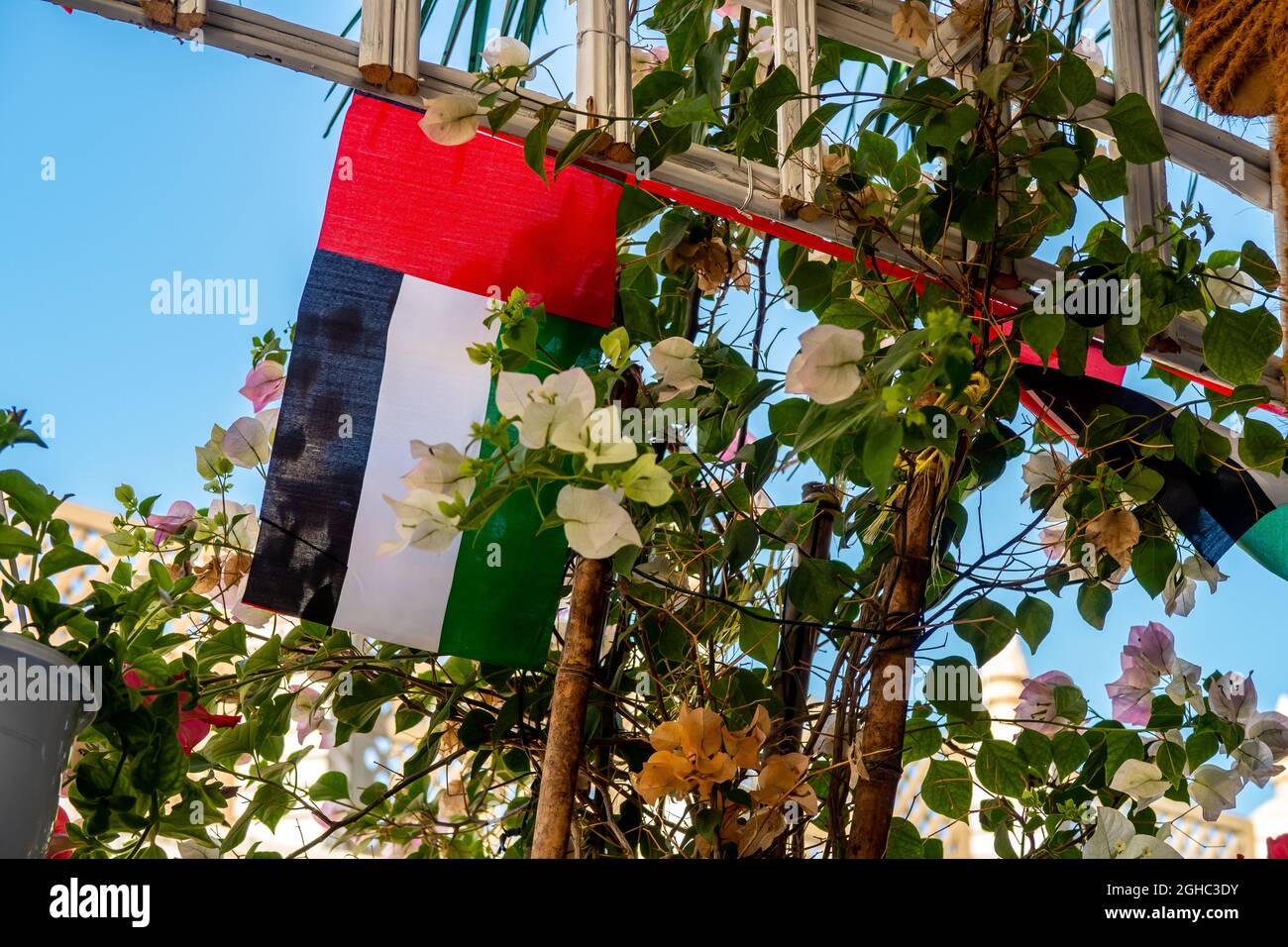 United Arab Emirates national flag decorations hanging among flowers