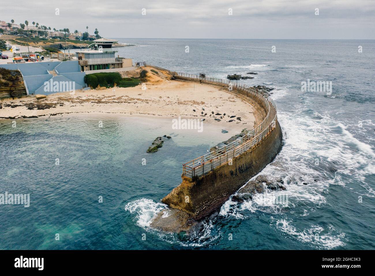 Children's Pool in La Jolla, California Stock Photo Alamy