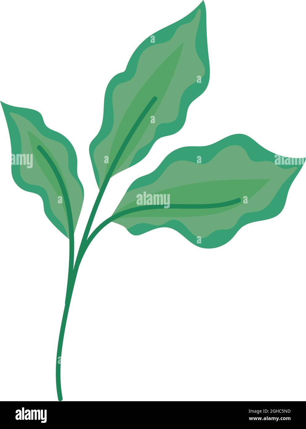 three leaves illustration Stock Vector Image & Art - Alamy