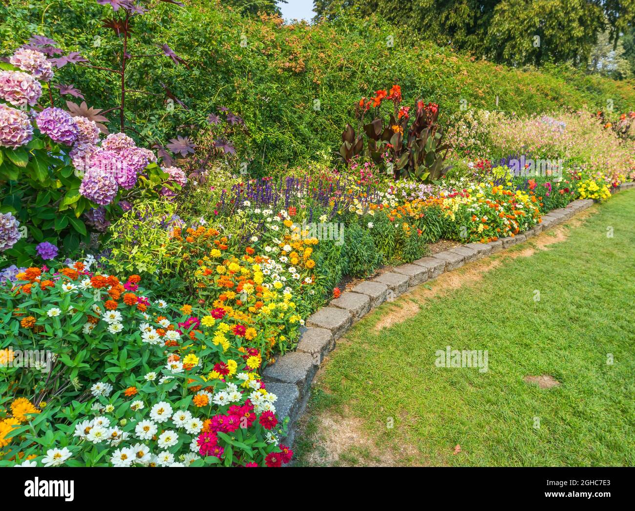 A cluster of various flowers at Point Defiance Park in Washington Stock Photo Alamy