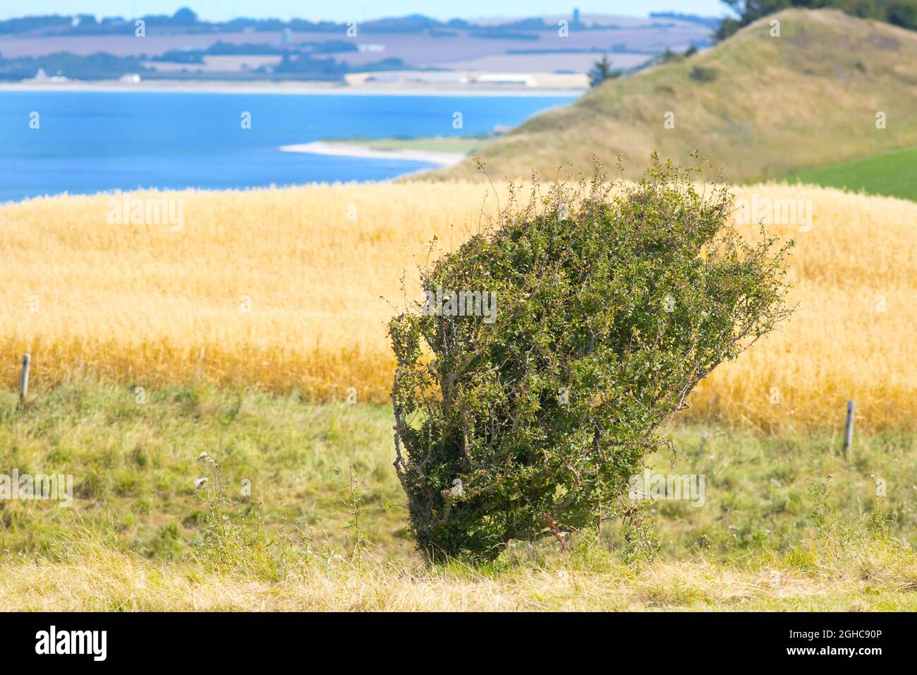 Landscape at the Limfjord in Denmark Stock Photo