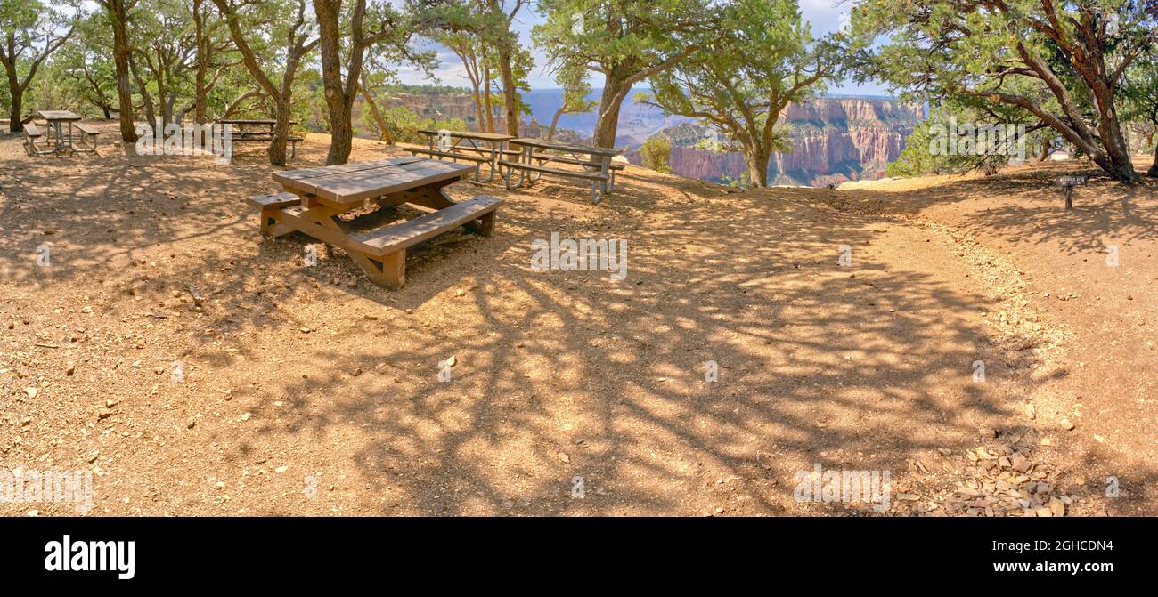 Picnic tables near the Wedding Site at Cape Royal on the North Rim of Grand Canyon Arizona. Stock Photo