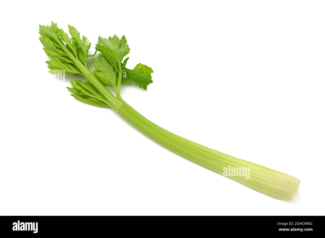 Fresh celery isolated on white background Stock Photo Alamy