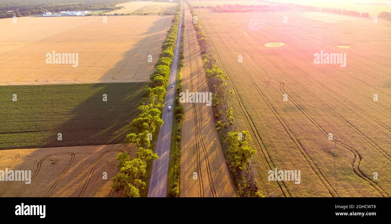 Drone flying over road between wheat fields during dawn sunset. Stock Photo