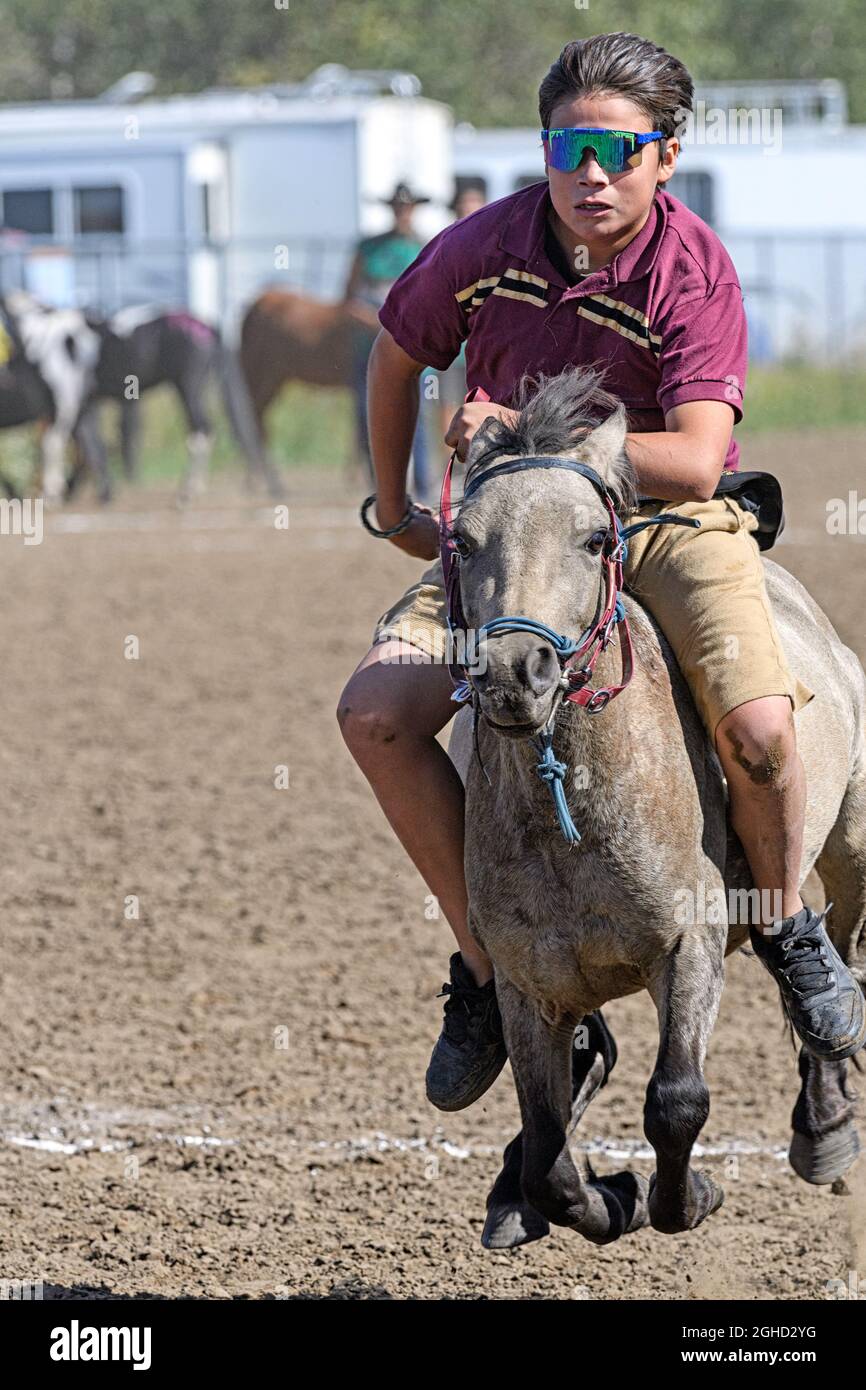 Little Braves event at the Enoch Cree Nation Indian Relay (horse) Race. Alberta Canada. Stock Photo