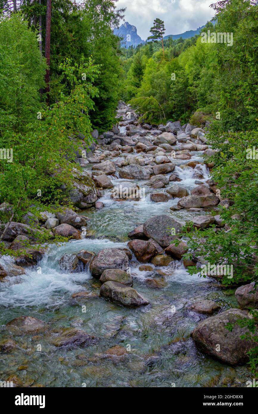 Free Images : rock, water, vacation, countryside, hill, forrest, plant,  green, natural landscape, fluvial landforms of streams, tree, watercourse,  riparian zone, groundcover, sky, mountain river, arroyo, bedrock, jungle,  creek, valley, temperate broadleaf