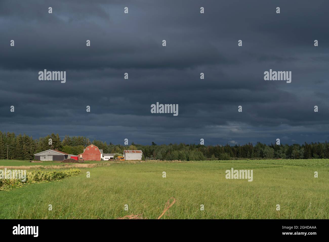 Farm fields under dark clouds in rural Prince Edward Islnd, Canada. Stock Photo