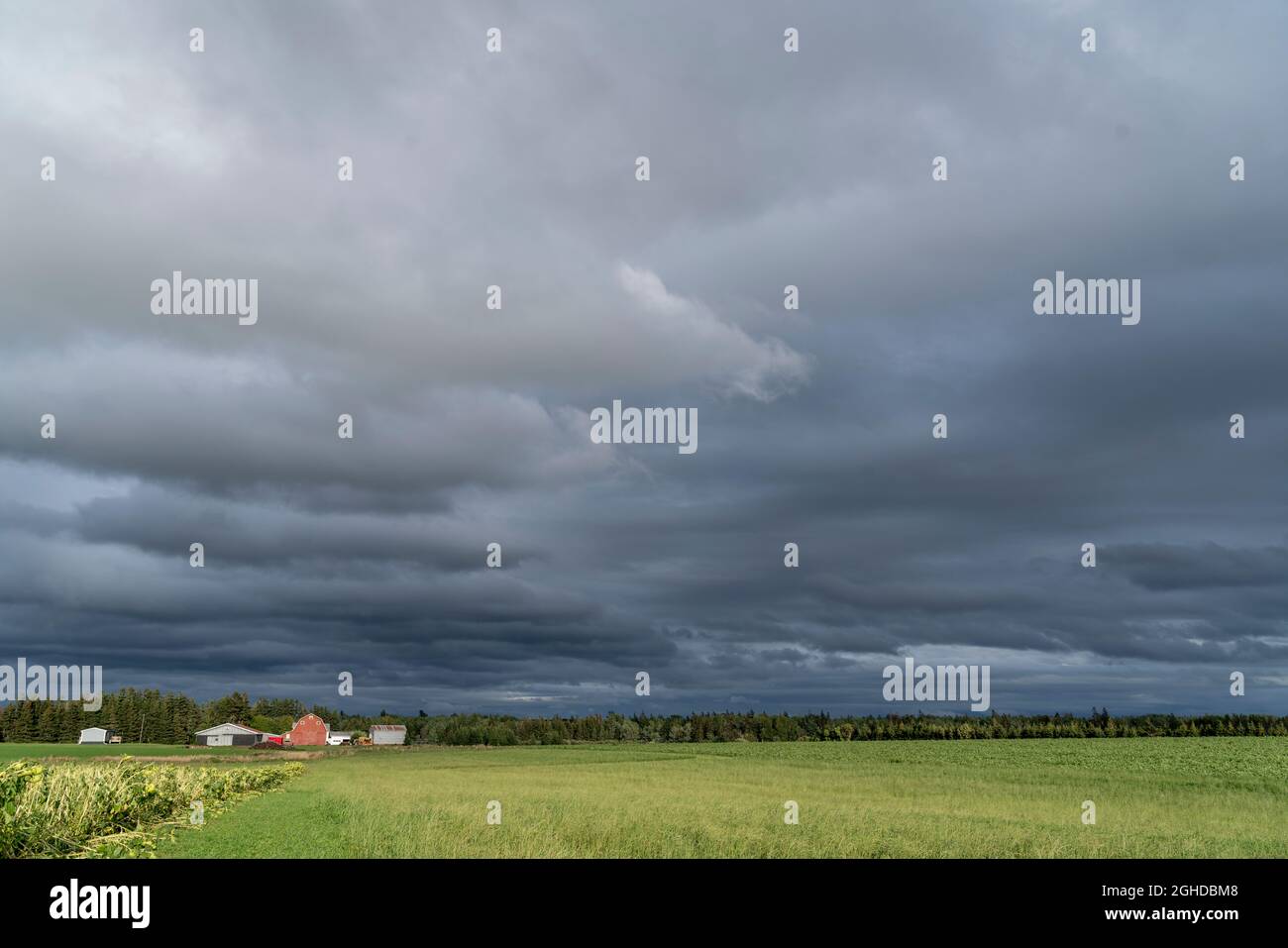Farm fields under dark clouds in rural Prince Edward Islnd, Canada. Stock Photo