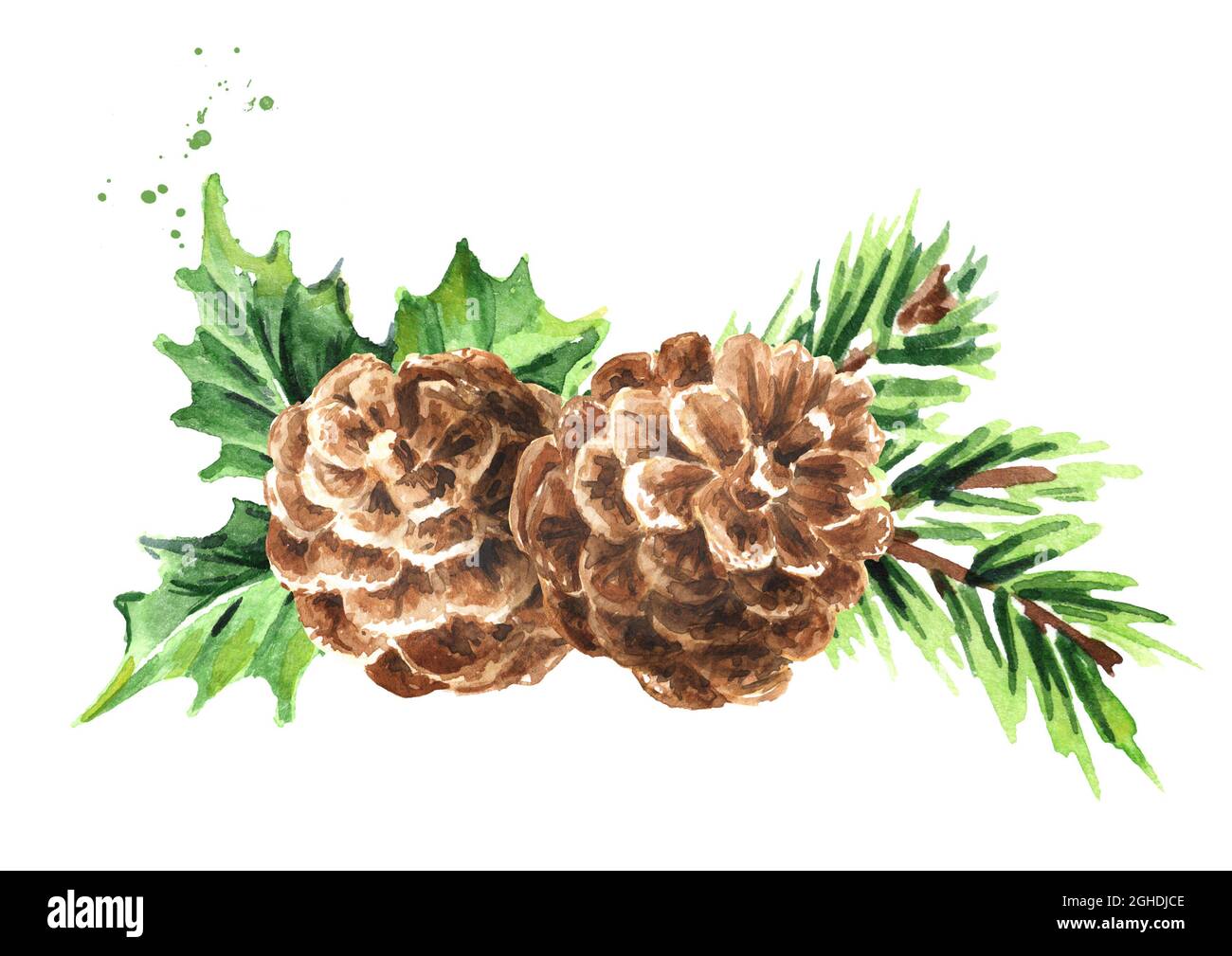 Winter Greenery Clip Art, Pine Clipart, Christmas Greens, Leaves, Berries,  Holly, Pine Cones, Pines, Watercolor Clipart DIY Christmas Cards 