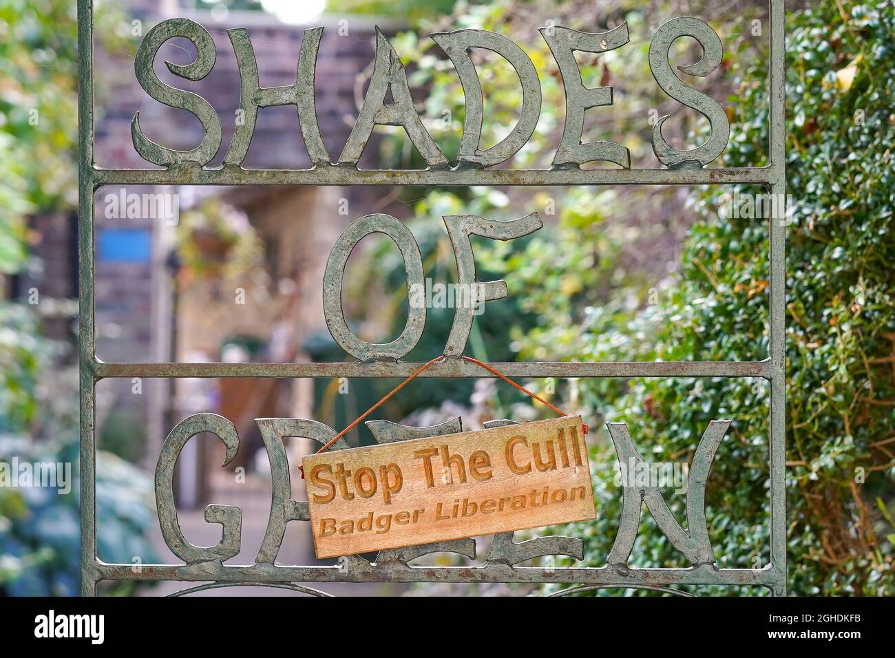 'Stop The Cull' badger liberation sign hanging on a UK countryside ...