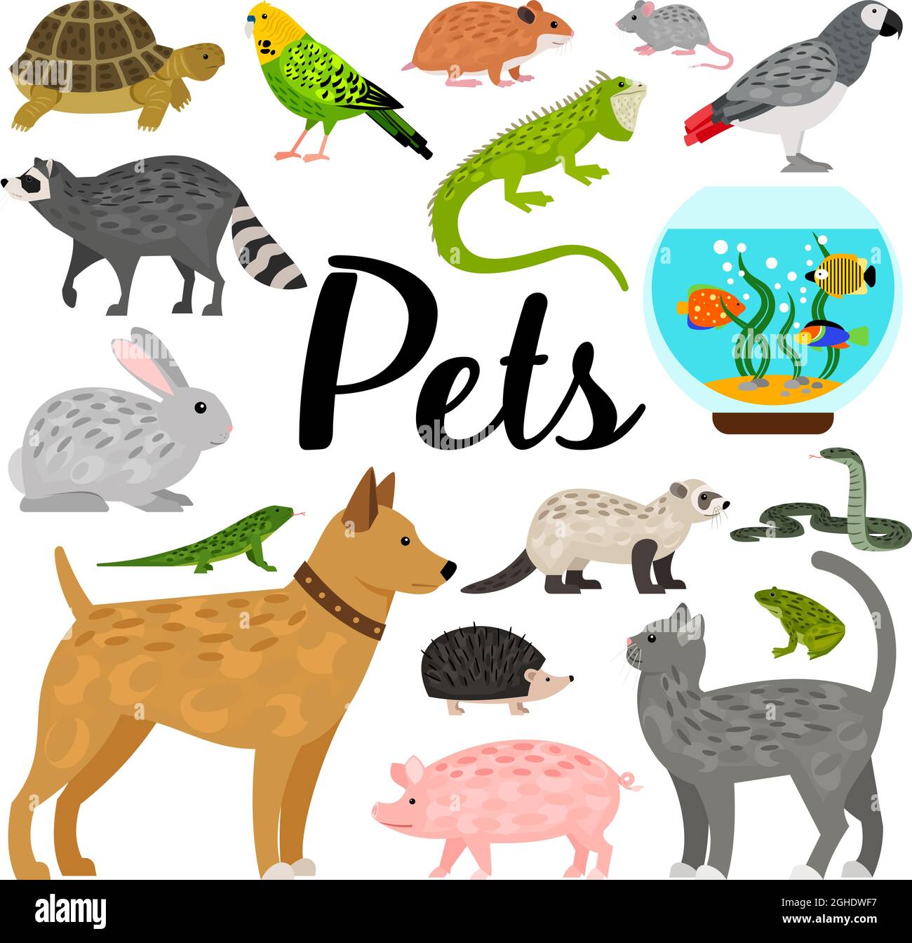 Large vector collection of adorable home animals Stock Vector