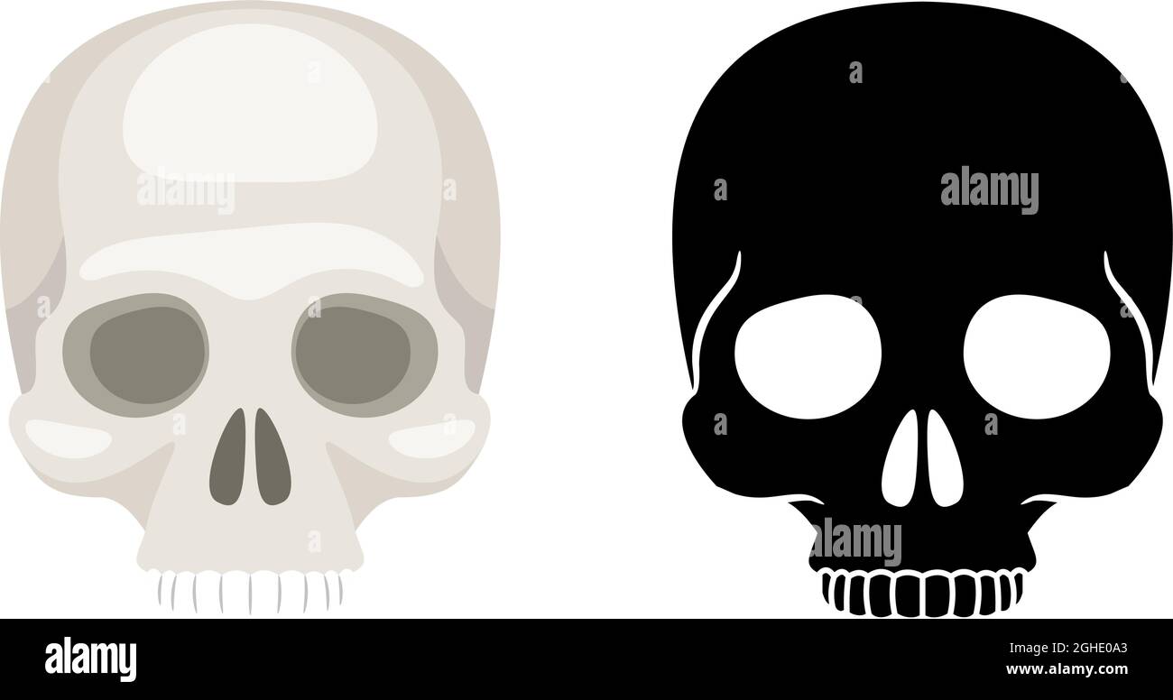 Vector illustration of human skulls on white background Stock Vector ...