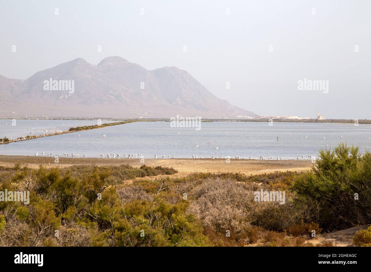 Panoramic view of the Las Salinas wetlands from Cabo de Gata with pink flamingos and mountain landscape in the background Almeria Spain Stock Photo