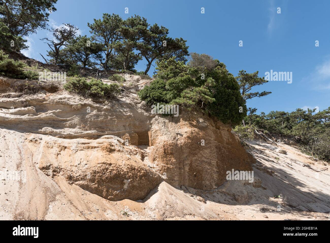 Closeup of the rocks with green trees. Cape Cod, Massachusetts Stock ...