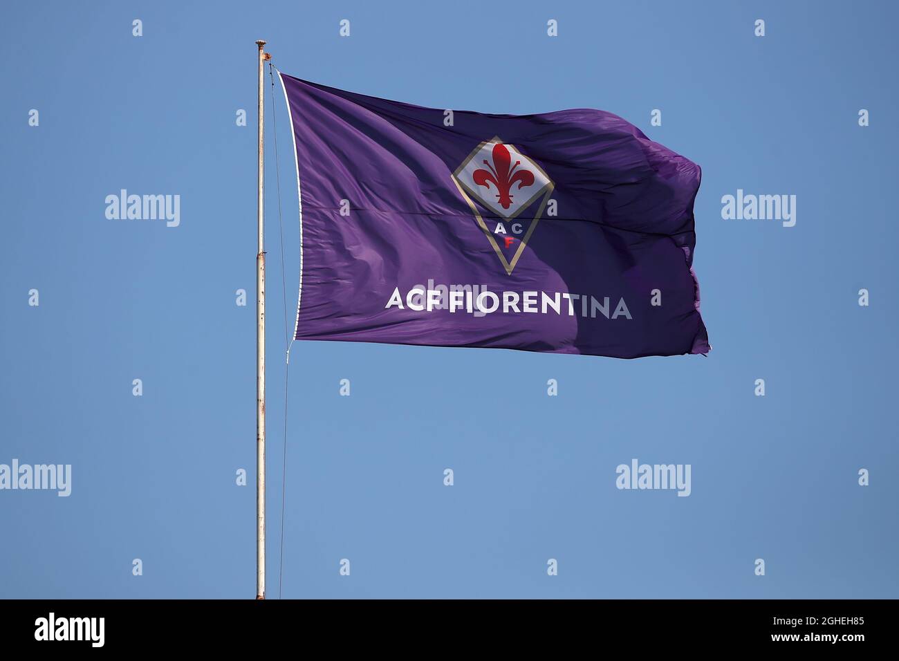 ACF Fiorentina, Fiorentina Flag Waves Isolated in Plain and Bump Texture,  with Transparent Background, 3D Rendering 23399167 PNG