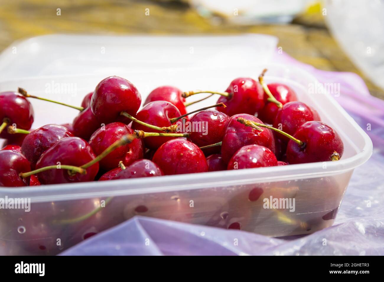 Container full of ripe, red, fresh cherries, freshly washed. Stock Photo