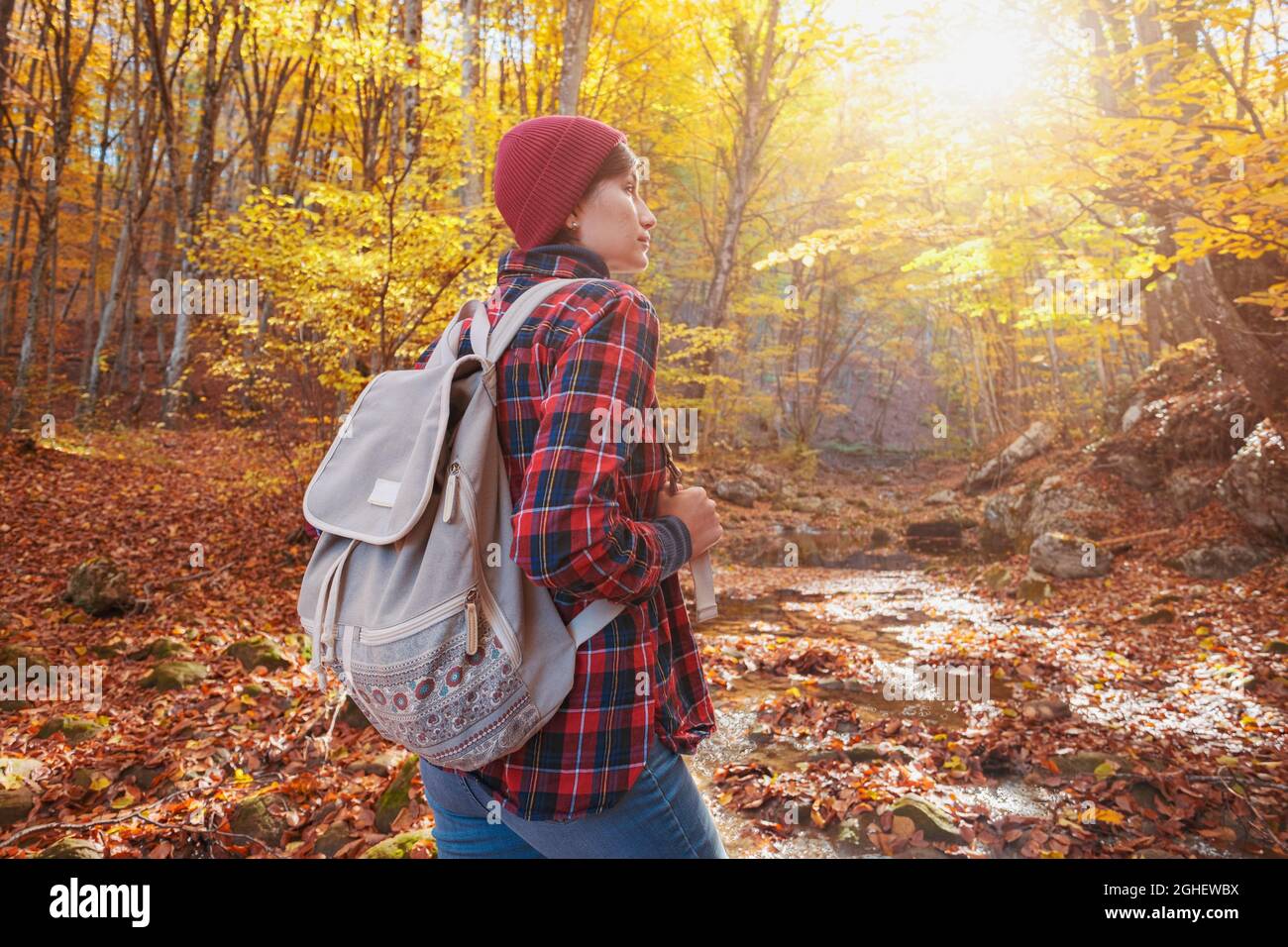 Woman hiking looking at scenic view of autumn foliage mountain ...