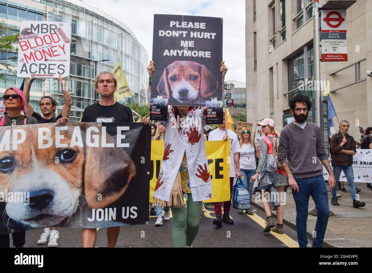 London, United Kingdom. 28th August 2021. Activists call for the release of  the MBR Acres beagles in the City of London during the National Animal  Rights March. Animal rights activists and organisations