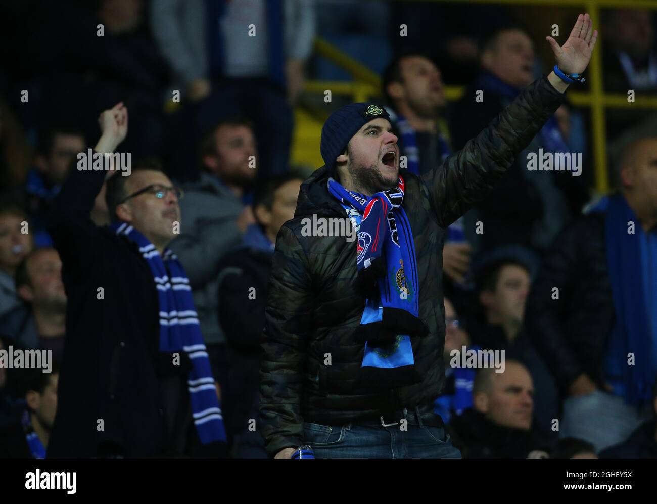 2,882 Fans Of Club Brugge Stock Photos, High-Res Pictures, and