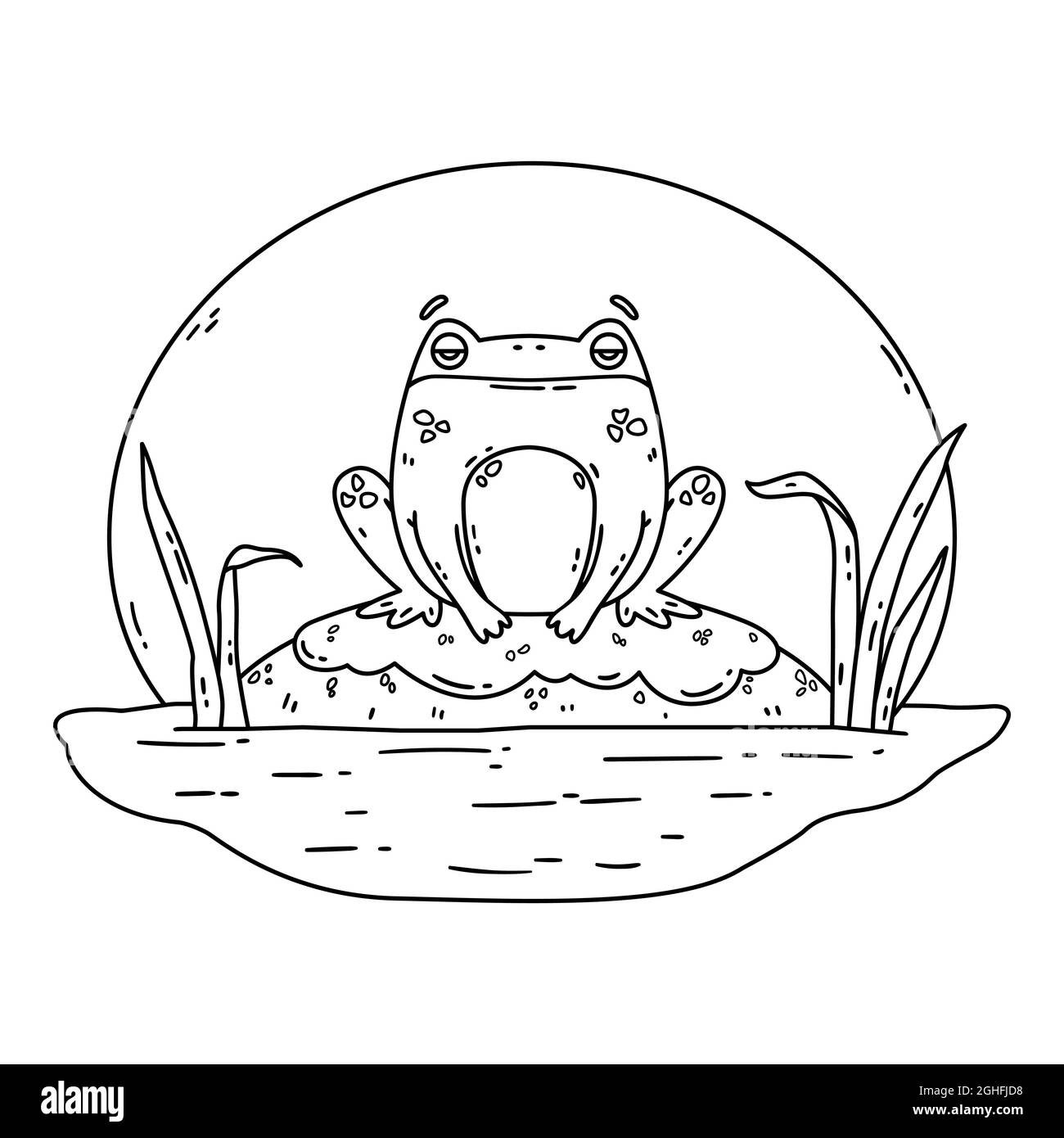 A frog in a swamp. Toad sits on a rock. Cute flat hand drawn character. Vector illustration isolated on white background. Coloring page. Stock Vector