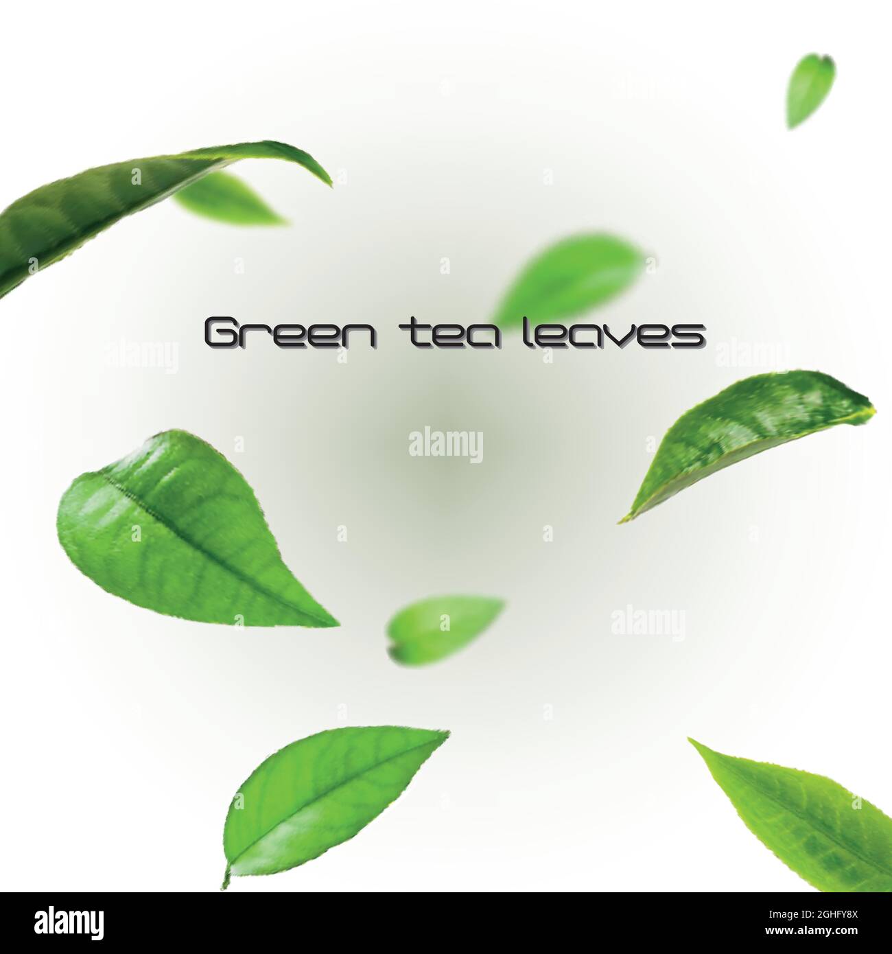 Vividly flying green tea leaves, white background 3d illustration Stock ...