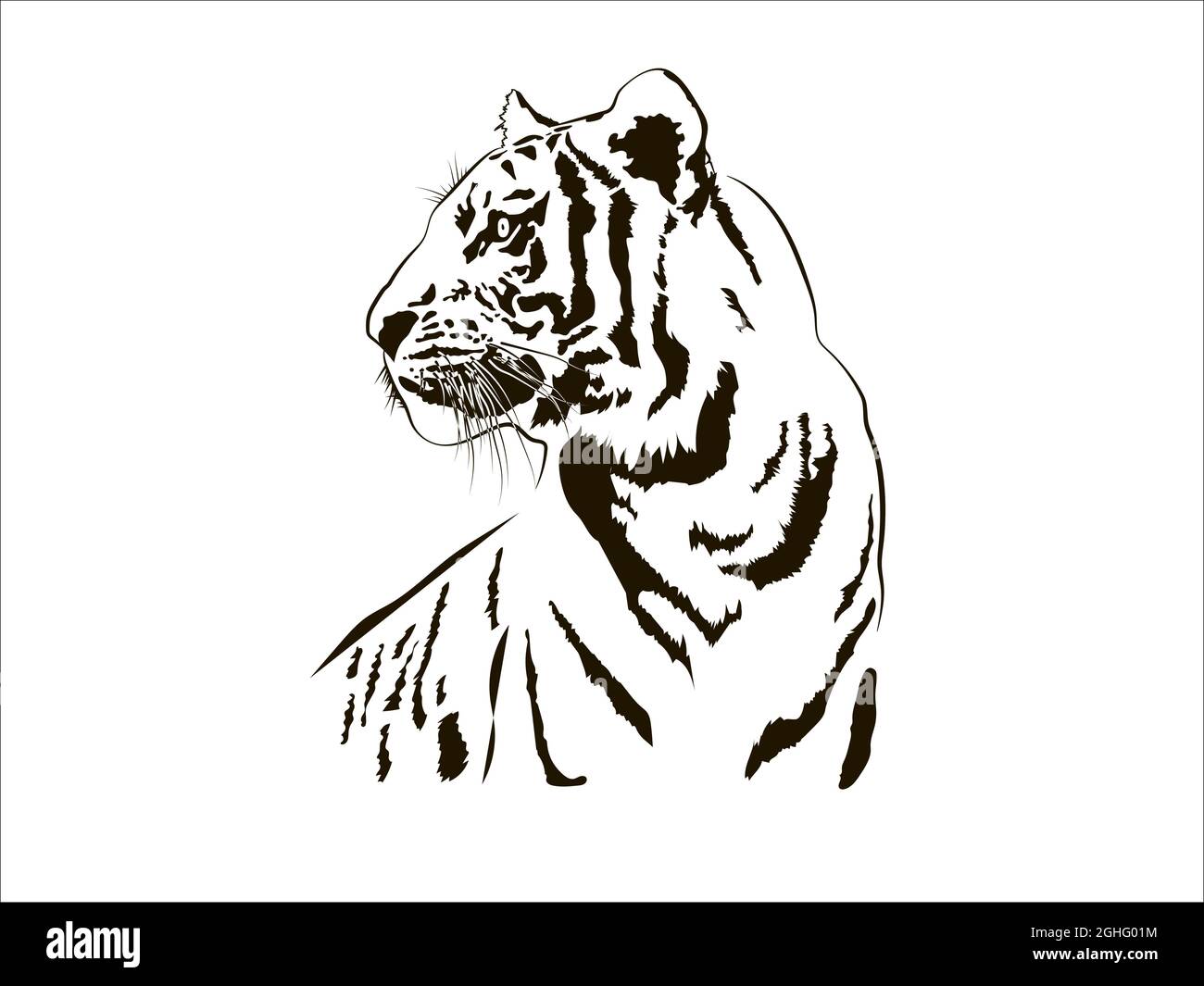 Tiger Big Cat Leopard Lion Pantera Yaguar Wild Black White Face Portrait Nature .Svg .Eps .Png Clipart Vector Tattoo Cricut Cut Cutting Stock Vector