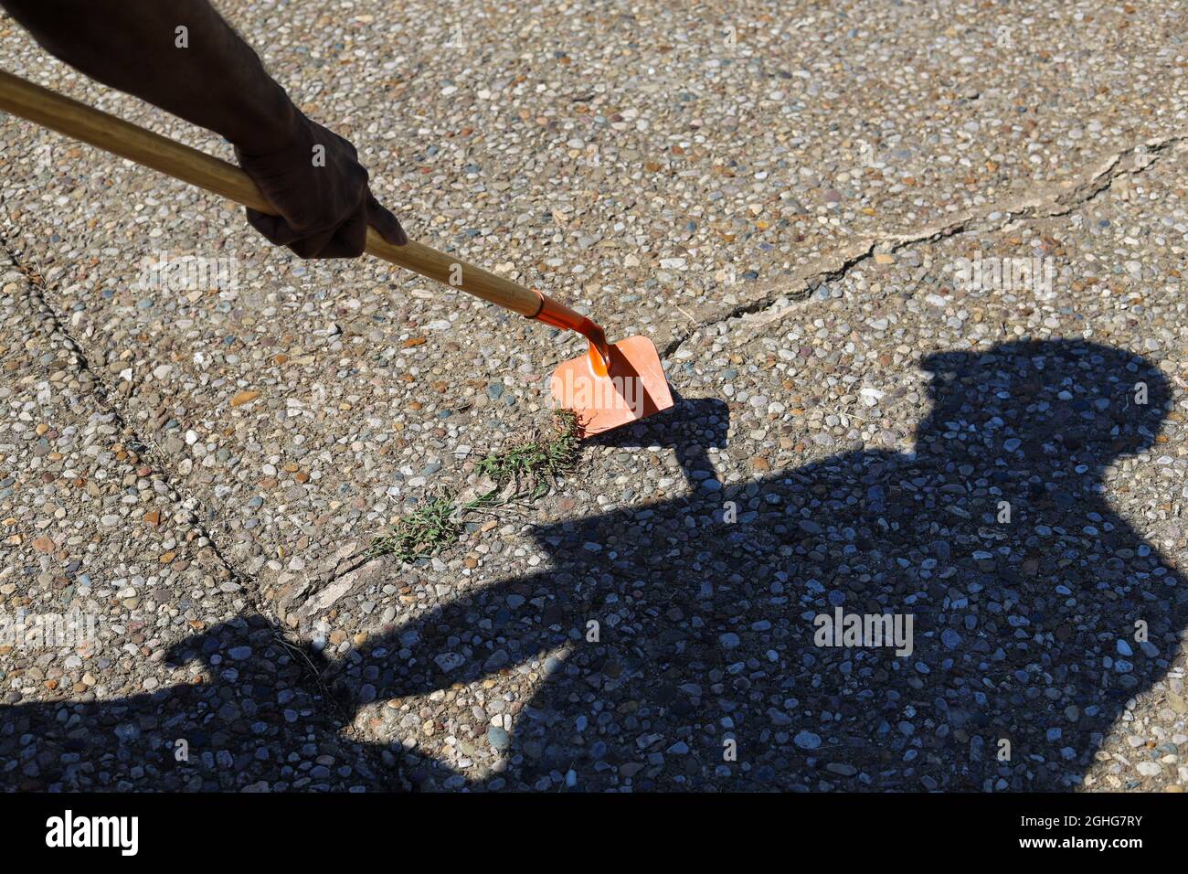 Man weeding hi-res stock photography and images - Alamy