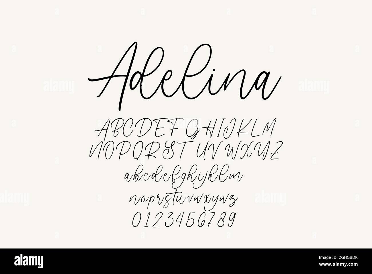 Vintage decorative font with label design and background pattern. Stock Vector